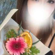 ヒメ日記 2025/10/24 22:44 投稿 あんこ 桃李（とうり）