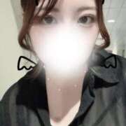 ヒメ日記 2025/10/28 02:14 投稿 あんこ 桃李（とうり）