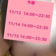 ヒメ日記 2025/11/12 03:34 投稿 あんこ 桃李（とうり）