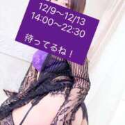 ヒメ日記 2025/12/08 14:54 投稿 あんこ 桃李（とうり）