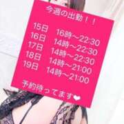 ヒメ日記 2025/12/15 05:44 投稿 あんこ 桃李（とうり）