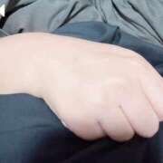 ヒメ日記 2026/01/13 13:54 投稿 あんこ 桃李（とうり）