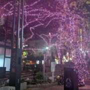 ヒメ日記 2025/12/09 16:24 投稿 りず みつらん鉄道