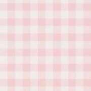 ヒメ日記 2025/12/25 12:24 投稿 りず みつらん鉄道