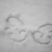 ヒメ日記 2025/12/03 21:42 投稿 のどか SOAPLAND LOVE FACTORY