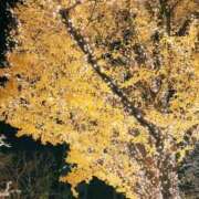 ヒメ日記 2025/12/17 17:13 投稿 のどか SOAPLAND LOVE FACTORY