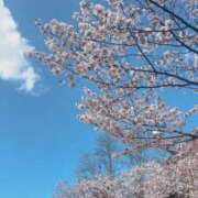 ヒメ日記 2026/04/23 17:48 投稿 のどか SOAPLAND LOVE FACTORY