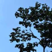 ヒメ日記 2026/08/21 13:23 投稿 のどか SOAPLAND LOVE FACTORY