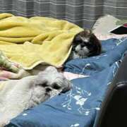 ジュリア お知らせ📢💫 マリン土浦本店