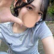 ヒメ日記 2025/12/13 15:33 投稿 やよい ピンクコレクション尼崎店