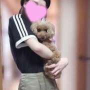 ヒメ日記 2025/10/27 19:54 投稿 ゆめは JAPAN CLUB BUNNY LOUNGE