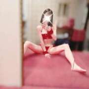 ヒメ日記 2025/12/15 18:24 投稿 ゆめは JAPAN CLUB BUNNY LOUNGE