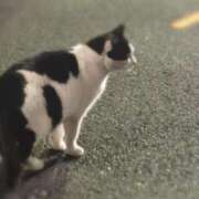 ヒメ日記 2025/11/05 23:15 投稿 みみ☆本日初登校！！ JKサークル