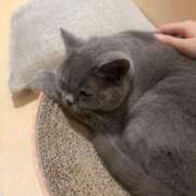 ヒメ日記 2025/11/12 20:38 投稿 みみ☆本日初登校！！ JKサークル