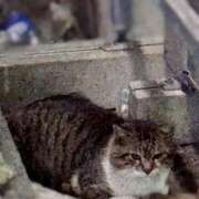 ヒメ日記 2025/11/18 22:01 投稿 みみ☆本日初登校！！ JKサークル