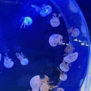 ヒメ日記 2025/11/22 20:04 投稿 みみ☆本日初登校！！ JKサークル