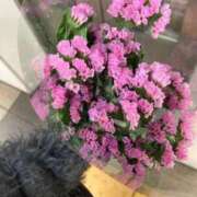 ヒメ日記 2025/10/26 19:02 投稿 ねおん 熟女の風俗最終章 新宿店