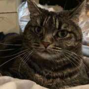 ヒメ日記 2025/11/22 00:02 投稿 ねおん 熟女の風俗最終章 新宿店