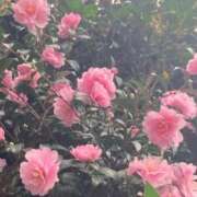 ねおん すっかり冬ですね、 熟女の風俗最終章 新宿店