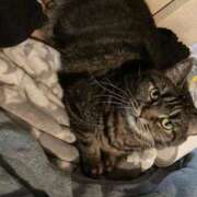 ねおん こんにちは、 熟女の風俗最終章 池袋店