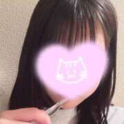 レイ お知らせ😿 べっぴんコレクション