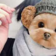 ヒメ日記 2026/02/11 09:54 投稿 まりえ 甲府人妻城