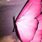 ヒメ日記 2026/02/15 18:52 投稿 まりえ 甲府人妻城