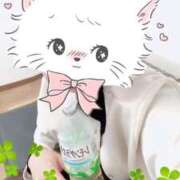 ヒメ日記 2026/03/11 13:15 投稿 まりえ 甲府人妻城