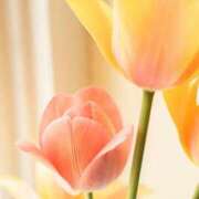 ヒメ日記 2025/10/29 11:23 投稿 かほ 丸妻 厚木店