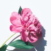 ヒメ日記 2025/11/06 14:15 投稿 かほ 丸妻 厚木店