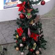 ヒメ日記 2025/11/23 11:58 投稿 かほ 丸妻 厚木店