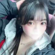 ヒメ日記 2026/02/17 11:16 投稿 みずき【愛嬌なら私に任せて】 STELLA TOKYO－ステラトウキョウ－