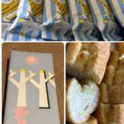 ヒメ日記 2025/11/16 23:36 投稿 西崎しの プレジデントハウス