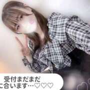 ヒメ日記 2025/11/20 00:35 投稿 まなか サマンサ(和歌山)