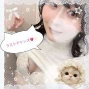 ヒメ日記 2025/11/26 03:00 投稿 まなか サマンサ(和歌山)