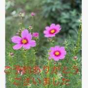 ヒメ日記 2025/10/24 15:44 投稿 かえで(昭和55年生まれ) 熟年カップル名古屋～生電話からの営み～