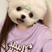 ヒメ日記 2025/10/09 16:22 投稿 ゆあ Hip's千葉駅前店