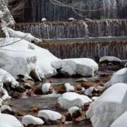 ヒメ日記 2026/03/15 06:00 投稿 こなつ モアグループ宇都宮人妻花壇