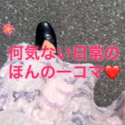 ヒメ日記 2026/04/24 12:38 投稿 こなつ モアグループ宇都宮人妻花壇