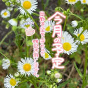 ヒメ日記 2026/08/18 07:31 投稿 こなつ モアグループ宇都宮人妻花壇