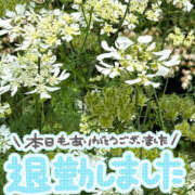 ヒメ日記 2026/08/23 00:50 投稿 こなつ モアグループ宇都宮人妻花壇
