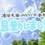 ヒメ日記 2026/10/14 00:10 投稿 こなつ モアグループ宇都宮人妻花壇
