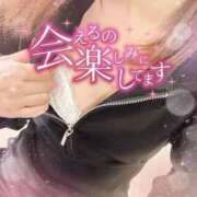 ヒメ日記 2026/01/14 10:24 投稿 藤崎かおり セレブ Rex