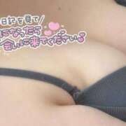 ヒメ日記 2026/01/14 15:39 投稿 藤崎かおり セレブ Rex