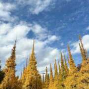 ヒメ日記 2025/11/23 22:41 投稿 まい奥様 川崎人妻ソープ Mint(ミント)