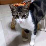 ヒメ日記 2026/02/19 13:05 投稿 きみこ 完熟とまと(十三)