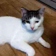 ヒメ日記 2026/04/12 12:53 投稿 きみこ 完熟とまと(十三)