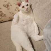 ヒメ日記 2025/10/14 10:54 投稿 美咲/みさき 五反田アネージュ（ユメオト）