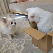 ヒメ日記 2025/11/04 17:00 投稿 美咲/みさき 五反田アネージュ（ユメオト）