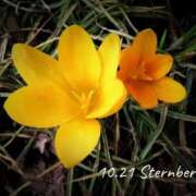 ヒメ日記 2025/10/21 06:47 投稿 めぐみ Grace東京